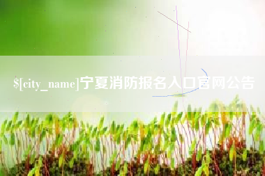 滦南宁夏消防报名入口官网公告