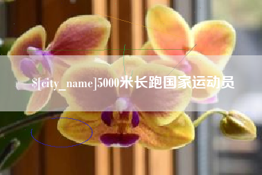 滦南5000米长跑国家运动员