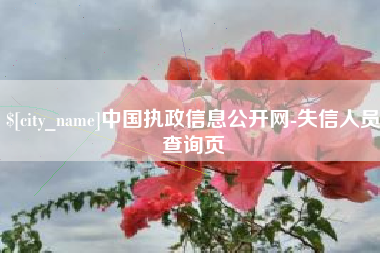 滦南中国执政信息公开网-失信人员查询页