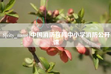 滦南中国消防官网中小学消防公开课