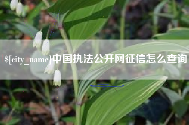 滦南中国执法公开网征信怎么查询
