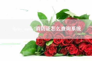 滦南消防证怎么查询系统