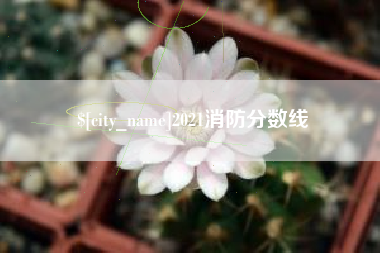 滦南2021消防分数线