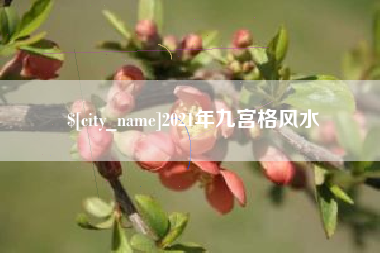 滦南2021年九宫格风水