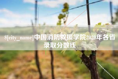 滦南中国消防救援学院2020年各省录取分数线