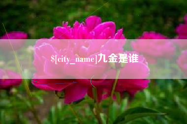 滦南九金是谁