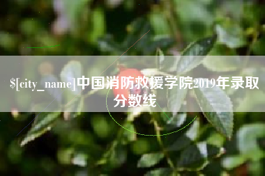 滦南中国消防救援学院2019年录取分数线