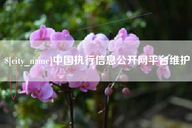 滦南中国执行信息公开网平台维护
