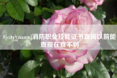 滦南消防职业技能证书查询以前能查现在查不到