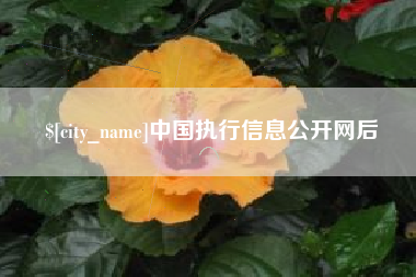 滦南中国执行信息公开网后
