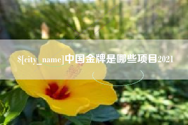 滦南中国金牌是哪些项目2021
