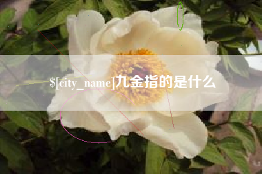 滦南九金指的是什么