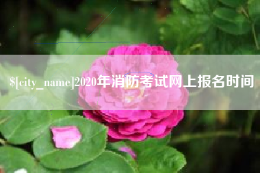 滦南2020年消防考试网上报名时间