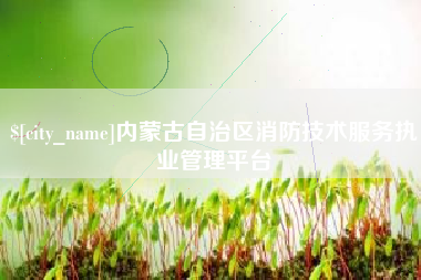 滦南内蒙古自治区消防技术服务执业管理平台