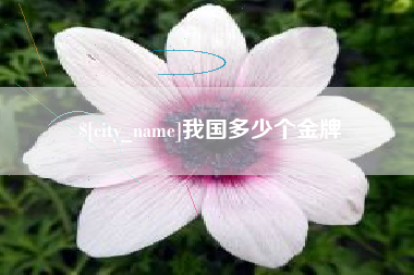 滦南我国多少个金牌