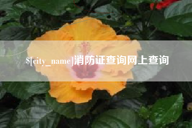 滦南消防证查询网上查询