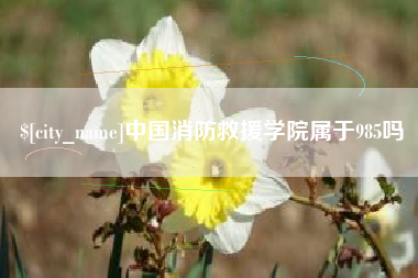 滦南中国消防救援学院属于985吗