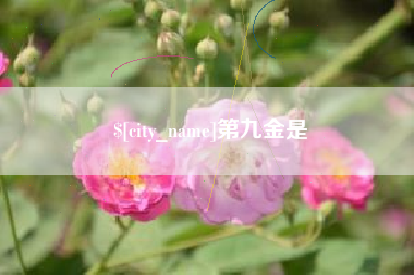 滦南第九金是