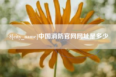 滦南中国消防官网网址是多少