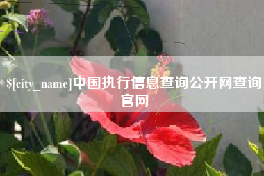 滦南中国执行信息查询公开网查询官网