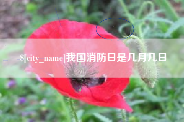 滦南我国消防日是几月几日