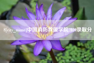 滦南中国消防救援学院2020录取分