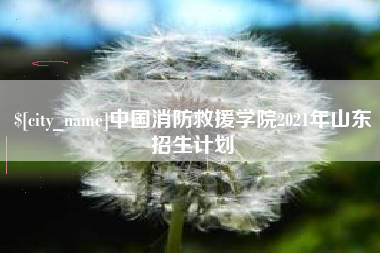 滦南中国消防救援学院2021年山东招生计划