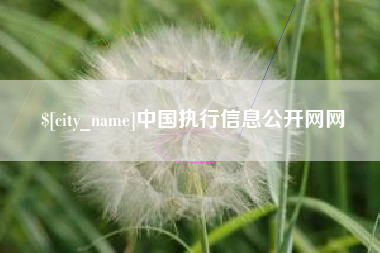 滦南中国执行信息公开网网