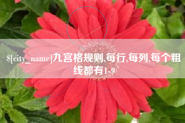 滦南九宫格规则,每行,每列,每个粗线都有1-9