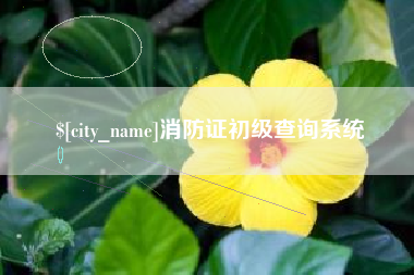 滦南消防证初级查询系统