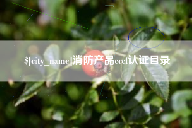 滦南消防产品cccf认证目录