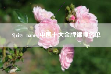 滦南中国十大金牌律师名单