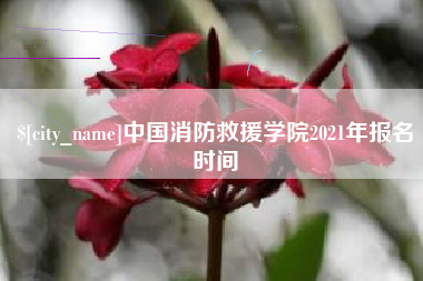 滦南中国消防救援学院2021年报名时间
