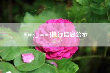 滦南执行信息公示