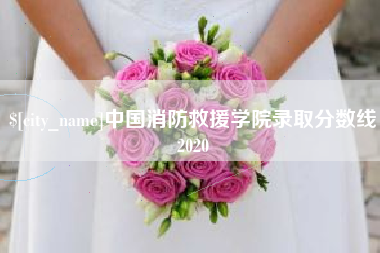 滦南中国消防救援学院录取分数线2020