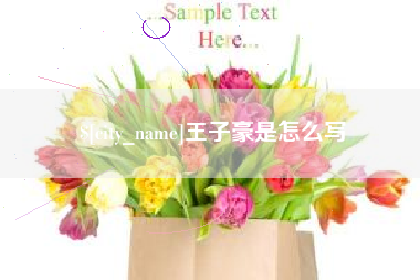 滦南王子豪是怎么写