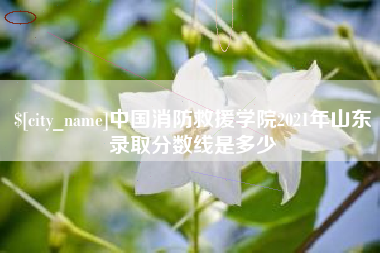 滦南中国消防救援学院2021年山东录取分数线是多少