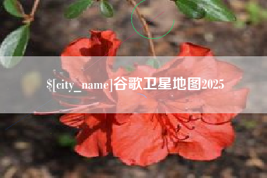 滦南谷歌卫星地图2025