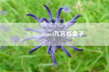 滦南九宫格盘子