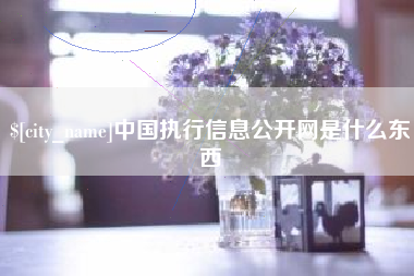 滦南中国执行信息公开网是什么东西