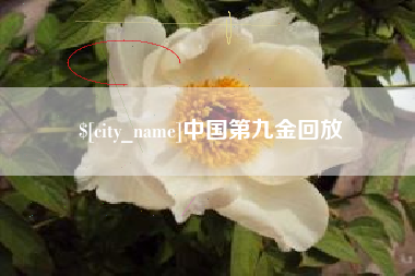 滦南中国第九金回放