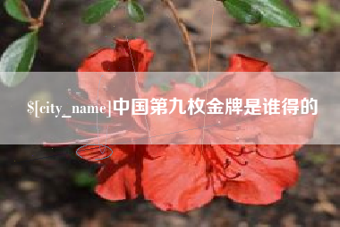 滦南中国第九枚金牌是谁得的