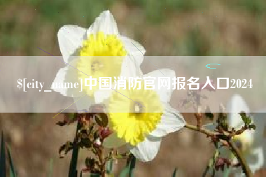 滦南中国消防官网报名入口2024