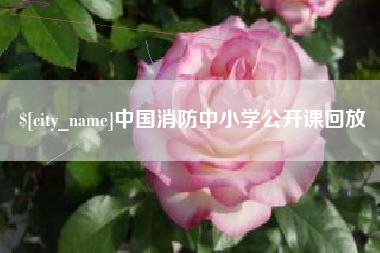 滦南中国消防中小学公开课回放