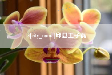 滦南邱县王子磊