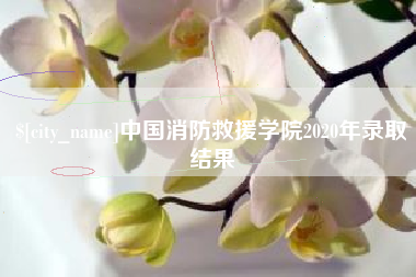 滦南中国消防救援学院2020年录取结果