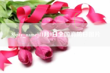 滦南11月9日全国消防日图片