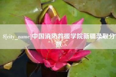 滦南中国消防救援学院新疆录取分数
