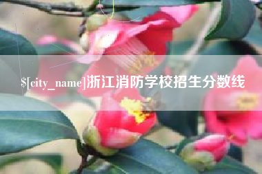 滦南浙江消防学校招生分数线