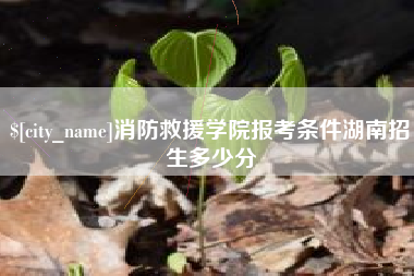 滦南消防救援学院报考条件湖南招生多少分